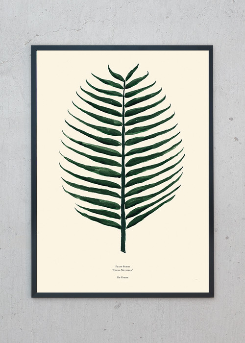 plakater