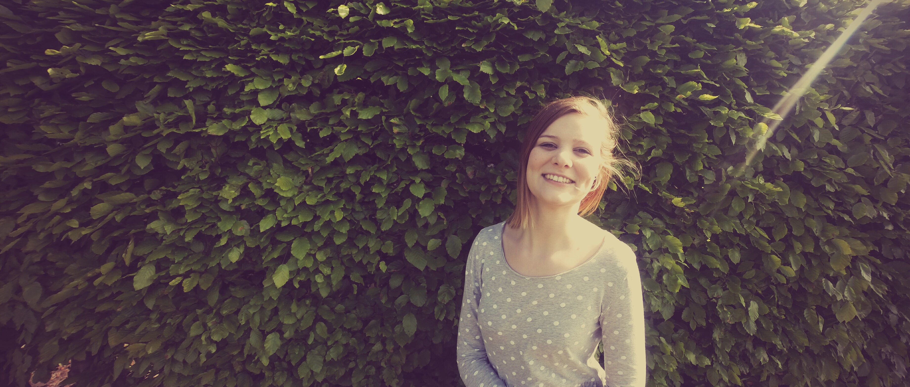 Sommerfugle