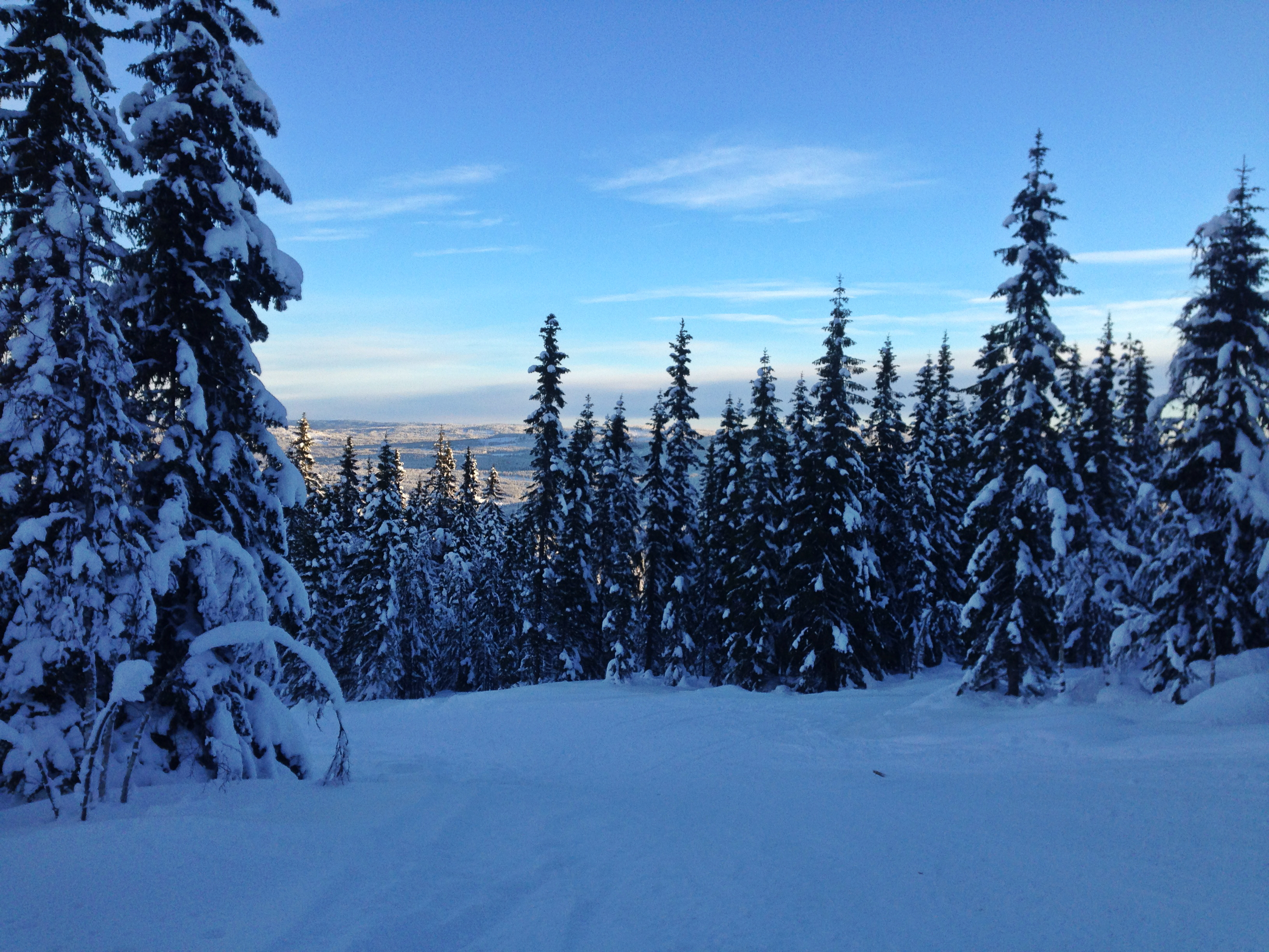 Skiferie