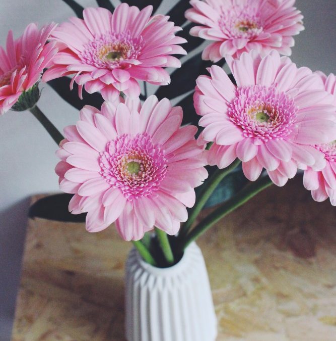 Pink Sunday