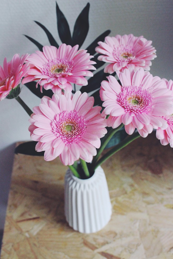 Pink Sunday